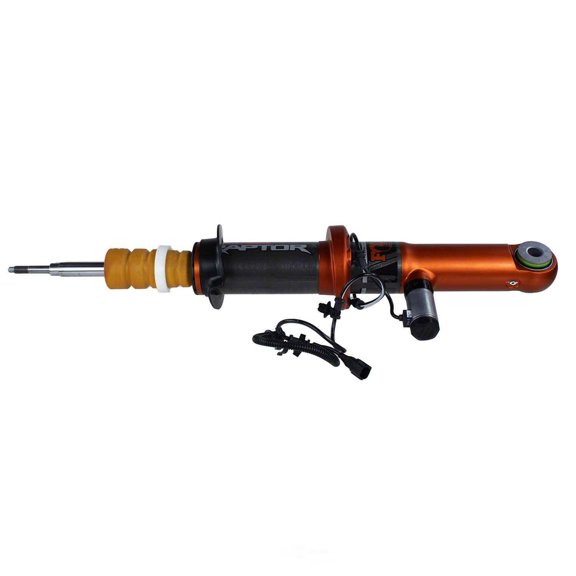 Motorcraft Strut - Suspension (P)