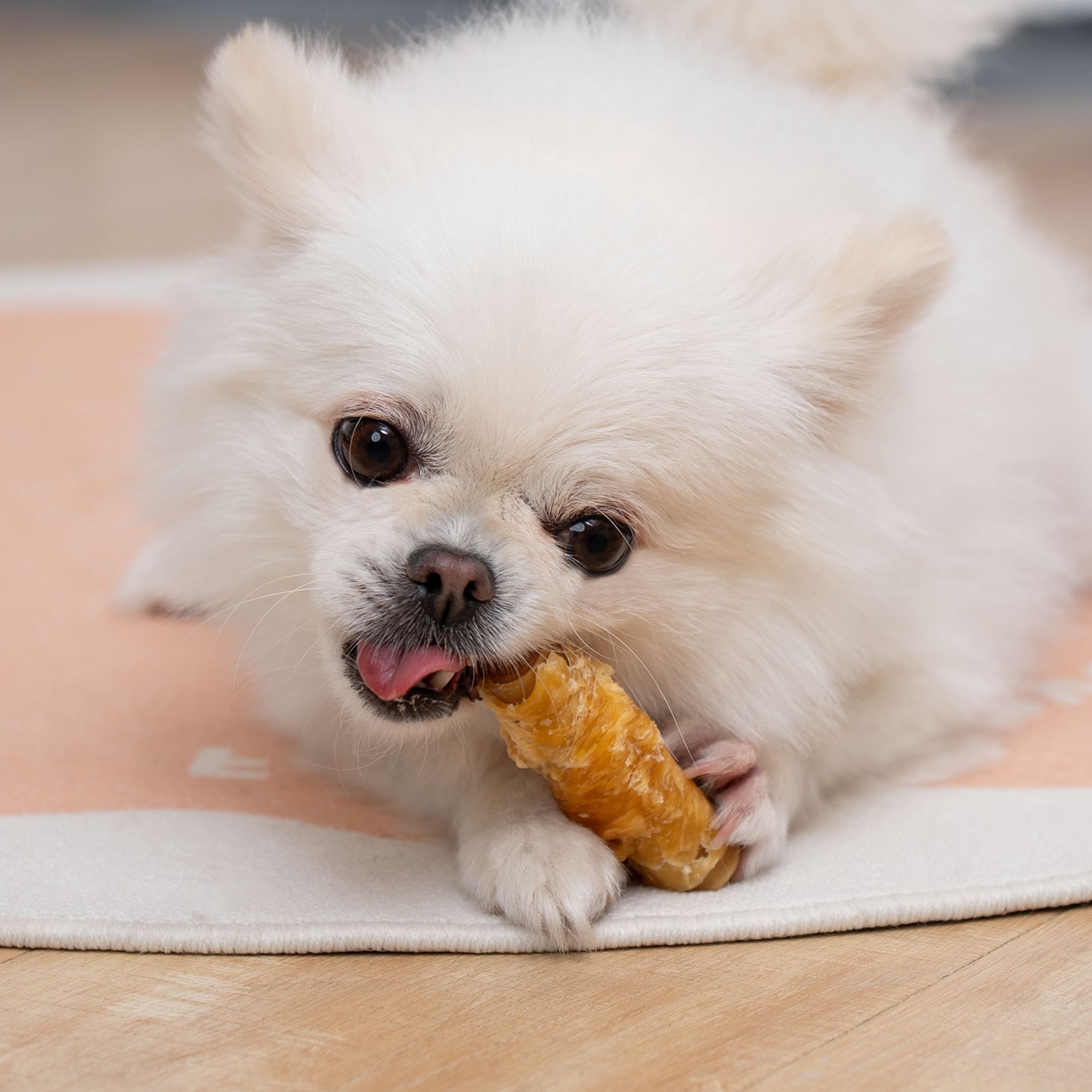 MON2SUN Chicken Wrapped Peanut Butter Rolls Small Dog Treats, 21.16 oz (16 Count)