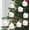 White B, variant on SHIMELE 9Pcs LED Candle Lights with Clips | Flameless Taper Candles | Warm & Cold White Light | Decorative Lamps for Christmas Tree & Events