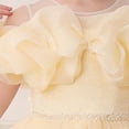 thumbnail image 4 of Lvshlubb Flower Girls Tulle Dress Bridesmaid Sparkle Wedding Pageant Dresses Princess Birthday Party Size 4-15, 4 of 6