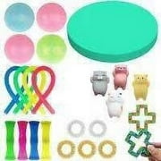 Puloru Sensory Fidget Toys Set Colorful Anxiety Stress Relief Hand Toys