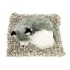 thumbnail image 3 of Peluche interactivo de peluche Perfect Petzzz Alaskan Husky, 3 of 3
