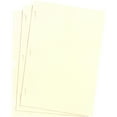 thumbnail image 2 of 14 in. x 8.5 in. Looseleaf Minute Book Ledger Sheets - Ivory (100/Box), 2 of 3