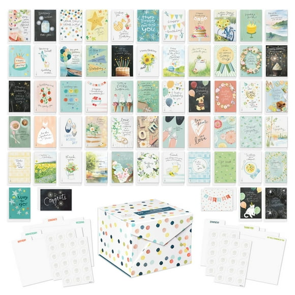 American Greetings - Assortiment de 60 cartes de souhaits pour toutes les occasions avec boîte de rangement, séparateurs, enveloppes et cachets (motifs Kathy Davis)