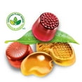 thumbnail image 2 of REALFRUIT Gummies Tropical Candy, Dare Real Fruit, 2 of 9
