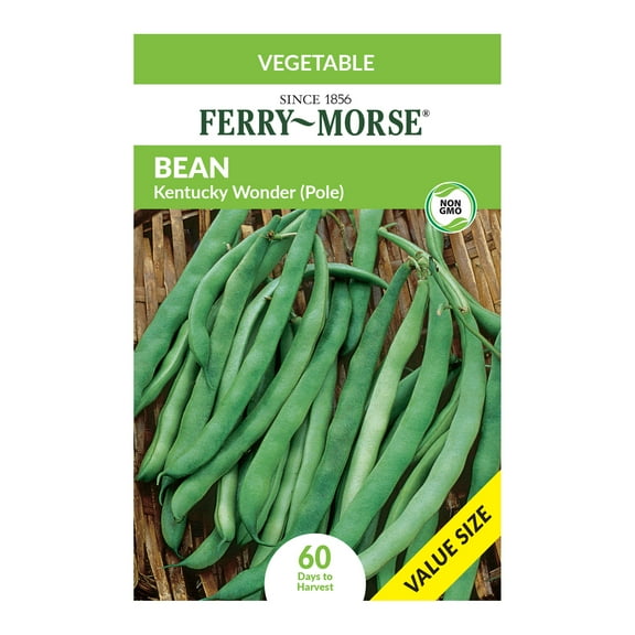 Ferry-Morse Economy 21G Bean Kentucky Wonder Annual Vegetable Seeds, Full Sun