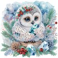 thumbnail image 1 of Kit 5D DIY Con Forma Especial Parcial Búho Invierno 30x30cm, 1 of 9