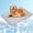 Gray, variant on Pawolaf Dog Cooling Mat, Pet Cooling Beds for Cats and Dogs, Keeping Your Furry Friend Sleep Cool and Comfortable All Summer Long