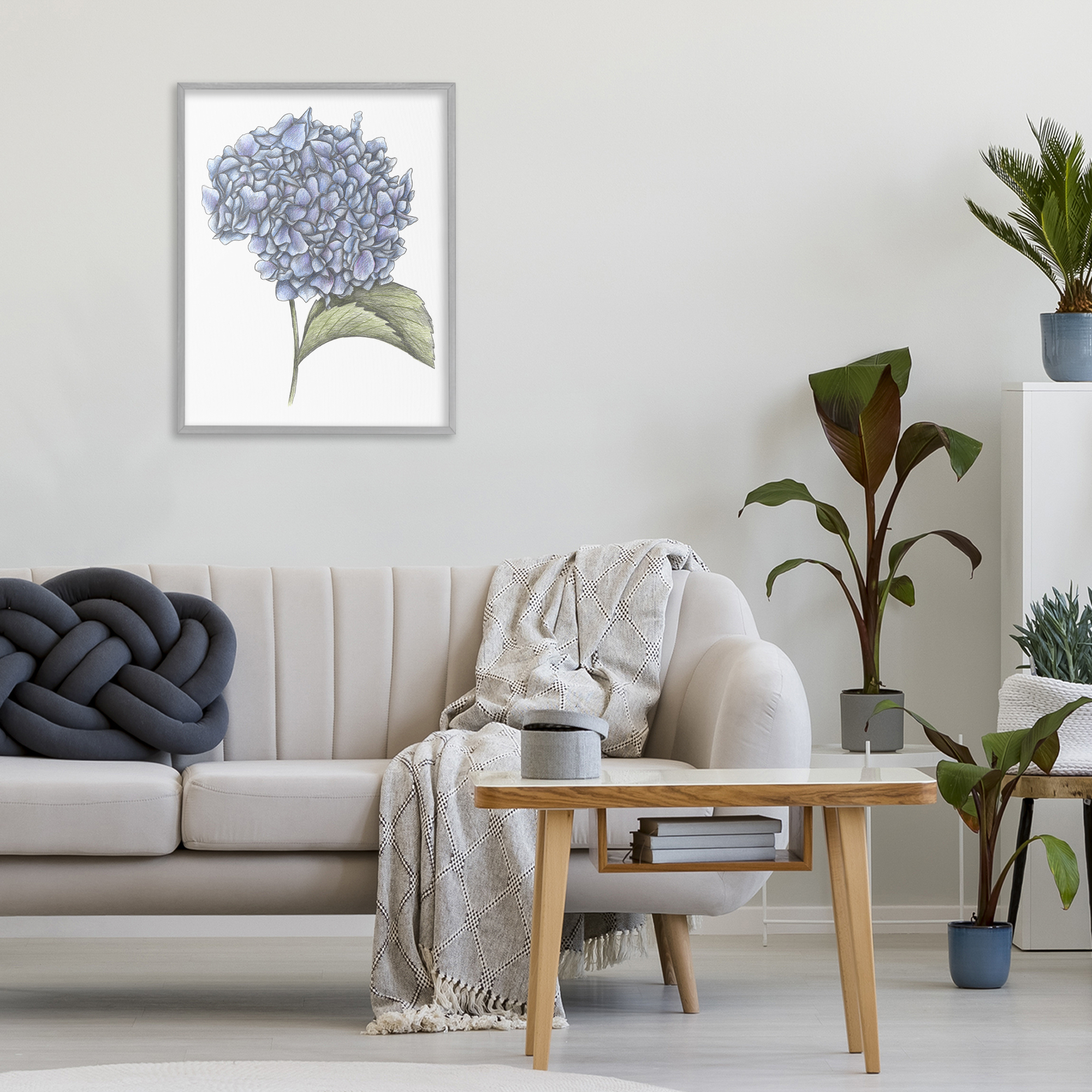 Hydrangea Sketch Blossom Gray Framed Giclee Art, design by Cecilia Battaini