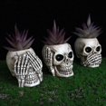 thumbnail image 3 of Creative Skull Flower Pot Ornament Personalized Resin Desktop Decoration For Home Living, 3 of 4