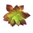 thumbnail image 3 of Simulaciones Mini suculentas Plantas artificiales de plástico falso Decoraciones para la sala de estar del jardín del hogar sidaley JJ18127-02, 3 of 3