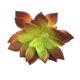 thumbnail image 3 of Simulaciones Mini suculentas Plantas artificiales de plástico falso Decoraciones para la sala de estar del jardín del hogar tholdsy JJ18127-02, 3 of 3