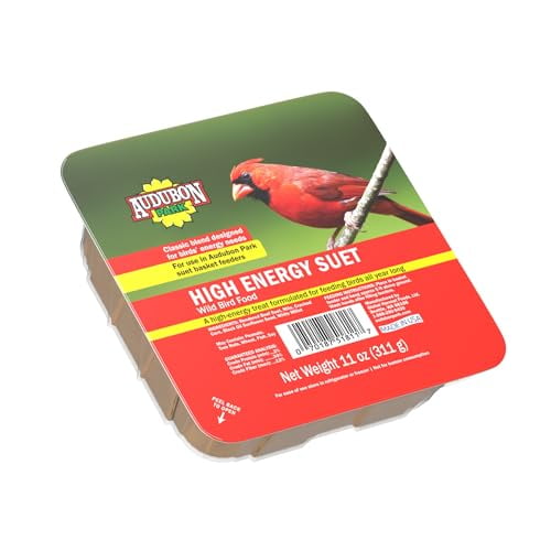 Audubon Park 13065 High Energy Suet Cake Wild Bird Food, 11-Ounces