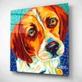 thumbnail image 2 of Epic Art 'Dogs in Color II' by Carolee Vitaletti, Acrylic Glass Wall Art, 12"x12", 2 of 8