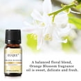 thumbnail image 6 of EUQEE 6Pcs Fragrance Oils Gift Set for Diffuser, Floral Essential Oils (10Ml), 6 of 12