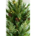 thumbnail image 5 of Celestial Lights MCG9 Battery Operated Mixed Cedar Garland with Dual Color Lights - 9', 5 of 5