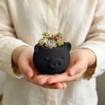 thumbnail image 6 of VAIFTILNO Pig Planter Pot, Cute Succulents Pot with Drainage Hole for Indoor, Outdoor Plants, Home Decor Gift (More Colors), 6 of 6