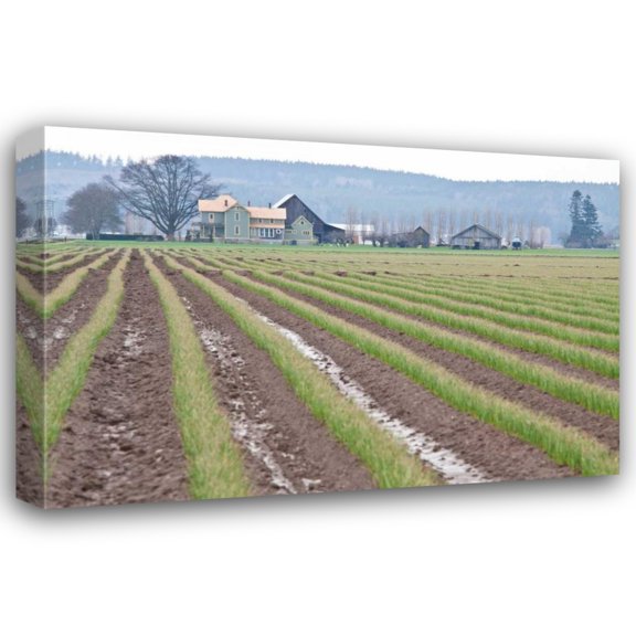 Dana Styber 24x17 Gallery Wrapped Canvas Wall Art Titled - Graceful Greens I