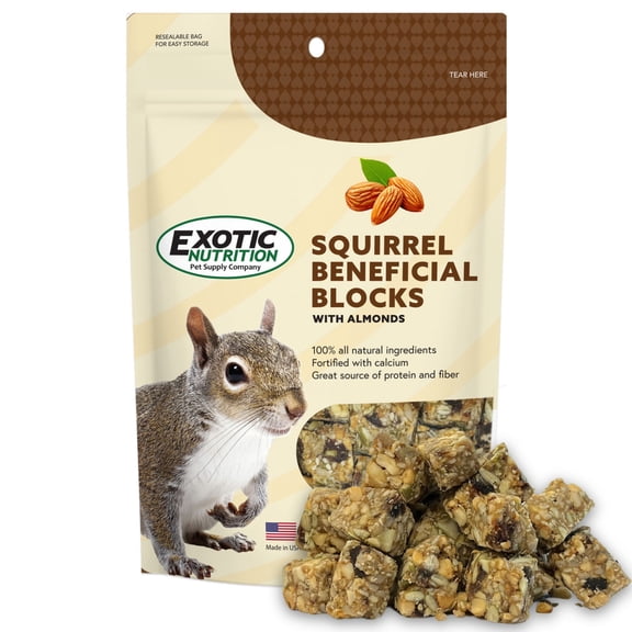 Squirrel Beneficial Blocks - Healthy & Unique Supplemental Food with Nuts & Seeds for Squirrels