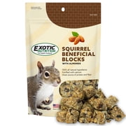 Squirrel Beneficial Blocks - Healthy & Unique Supplemental Food with Nuts & Seeds for Squirrels