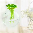 thumbnail image 5 of Pot de Fleurs Suspendu Vase Boule en Verre Terrarium Mural Bac à Poissons Contenant d'Aquarium, 5 of 5