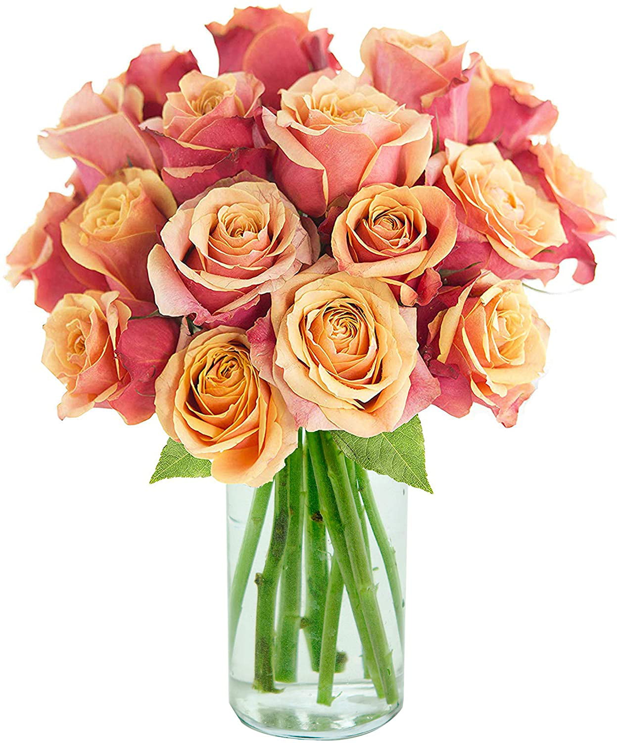 Arabella Farm Direct Bouquet Of 18 Fresh Cut Orange Roses With A Free