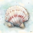 thumbnail image 2 of Watercolor Shells VI Poster Print by  Tre Sorelle Studios, 2 of 2