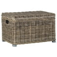 thumbnail image 3 of Safavieh Mikasi Trunk, Grey, 3 of 6