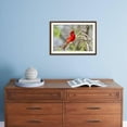 thumbnail image 5 of Northern Cardinal Male Starr, Texas, Usa, Animals Scenic Framed Art Print Wall Art by Richard ans Susan Day Sold by Art.Com, 5 of 6