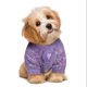 thumbnail image 2 of 2Pcs Arco Iris gato de punto suéter jersey con mangas de cuello alto lindo prendas de vestir para mascotas sudadera caliente para los gatos de interior y perros pequeños, 2 of 2