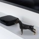 thumbnail image 2 of 1pc Doberman Model Simulation Lifelike Static Dog Animal Statue Figurine Desktop Adornment (Black), 2 of 4