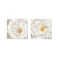 thumbnail image 1 of Great Art Now Neutral Rose by Ramona Murdock 2 Piece Canvas Art Set Each 14"W x 14"H, 1 of 3