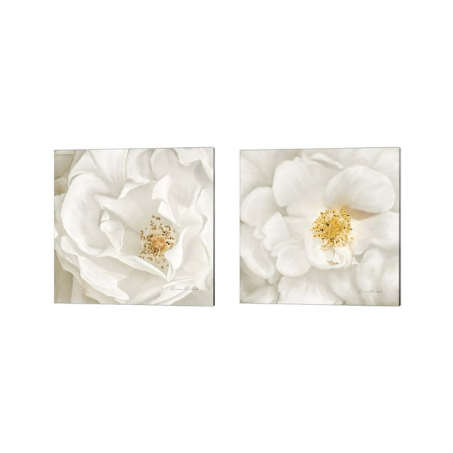 Great Art Now Neutral Rose by Ramona Murdock 2 Piece Canvas Art Set Each 14"W x 14"H