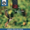 thumbnail image 3 of Droll Yankees YCPD-90-M Squirrel Proof Dipper Collapsing Perch Bird Feeder, 5-Pounds, Burgundy, 3 of 8