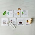 thumbnail image 4 of ⚡ Big Sale ! Holy Week Box | Easter Box Set DIY Holy Week Box Resurrection Game 7 Sets Resurrection Easter Story Easter Decorations For Basket Stuffers, 4 of 9
