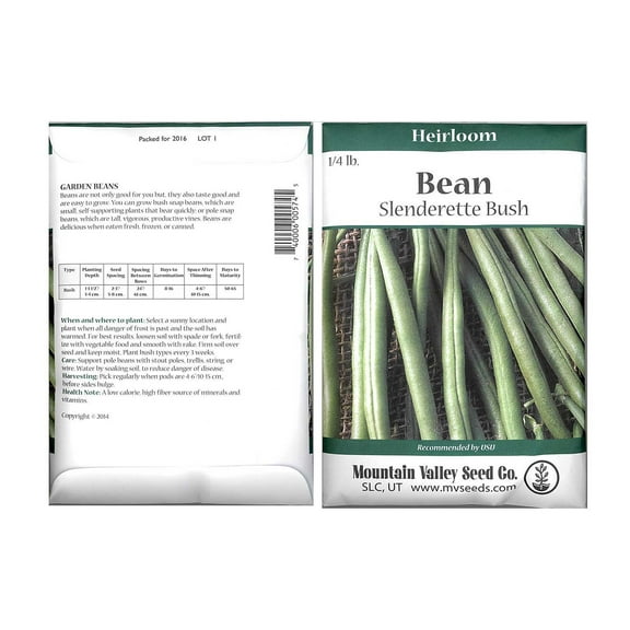 Slenderette Bush Bean Seeds - 4 Oz Packet - Non-GMO, Heirloom Green Snap Bean Seeds - Vegetable Garden Seeds