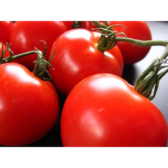 Creole Tomato Plant - Louisiana Heirloom - Some Like It Hot - 4" Pot