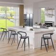 thumbnail image 2 of Danolapsi Counter Height Bar Stools Set of 2 ,Modern Bar Chairs Stylish Modern Counter Stools with Low Back,Comfortable Indoor and Outdoor Barstools for Kitchen Counter/Home Bar/Dining Room, 2 of 9