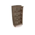 thumbnail image 1 of 59 x 31 in. Adjustable Four-Shelf Bookcase, Grey Driftwood, 1 of 1