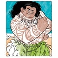 Crayola Color Wonder, Disney Moana Mess Free Coloring Book & Markers ...