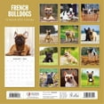 thumbnail image 2 of French Bulldogs 2025 Square Wall Calendar, 2 of 3