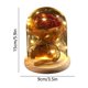 thumbnail image 3 of Farol de Ornamentos de Rosas | Cubierta de vidrio de flores secas inmortales | Luz LED romántica | Regalo de San Valentín Duradero | Marrón Blanco | 6,1x3,35 pulgadas | Cinta decorativa, 3 of 6