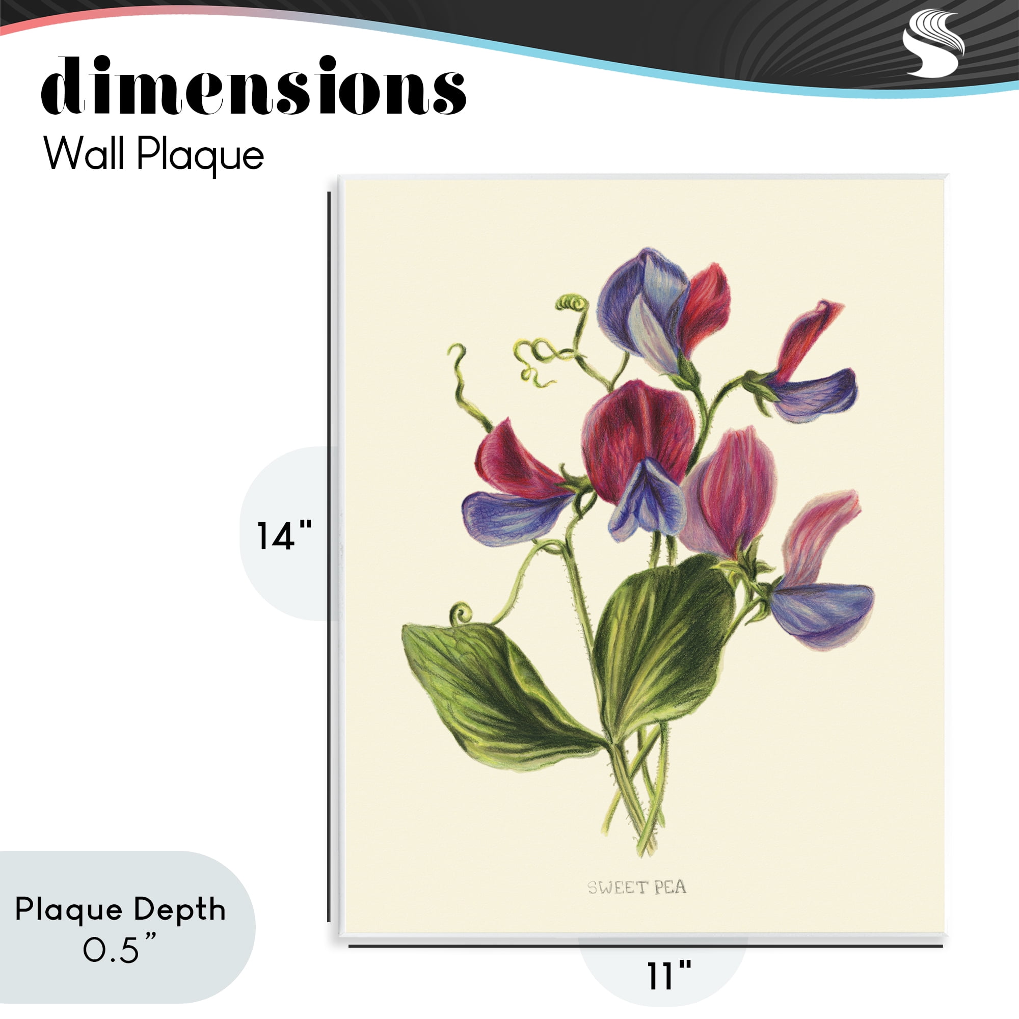 Stupell Industries Vintage Sweet Pea Blossoms Wall Plaque Art, design by Connie Resch