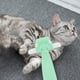 thumbnail image 4 of Herramienta de cepillo para mascotas, pelo de perro mascota, cuidado de pulgas, peine para mascotas, peine para perros, artesanía Superior, 4 of 9