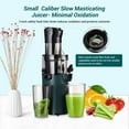 thumbnail image 4 of Inkbirdplus 200W Compact Slow Juicer Machine,800ML Electric Cold Press Juicer Machine,3.1'' Wide Chute, 4 of 13
