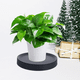 thumbnail image 4 of Nestingho 2Ud Para Macetas Con Y Práctico Material Plástico Ideal Para Interiores O Exteriores, 4 of 6