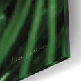 thumbnail image 3 of Epic Art 'Fern Detail' by Elise Catterall, Acrylic Glass Wall Art, 16"x12", 3 of 8