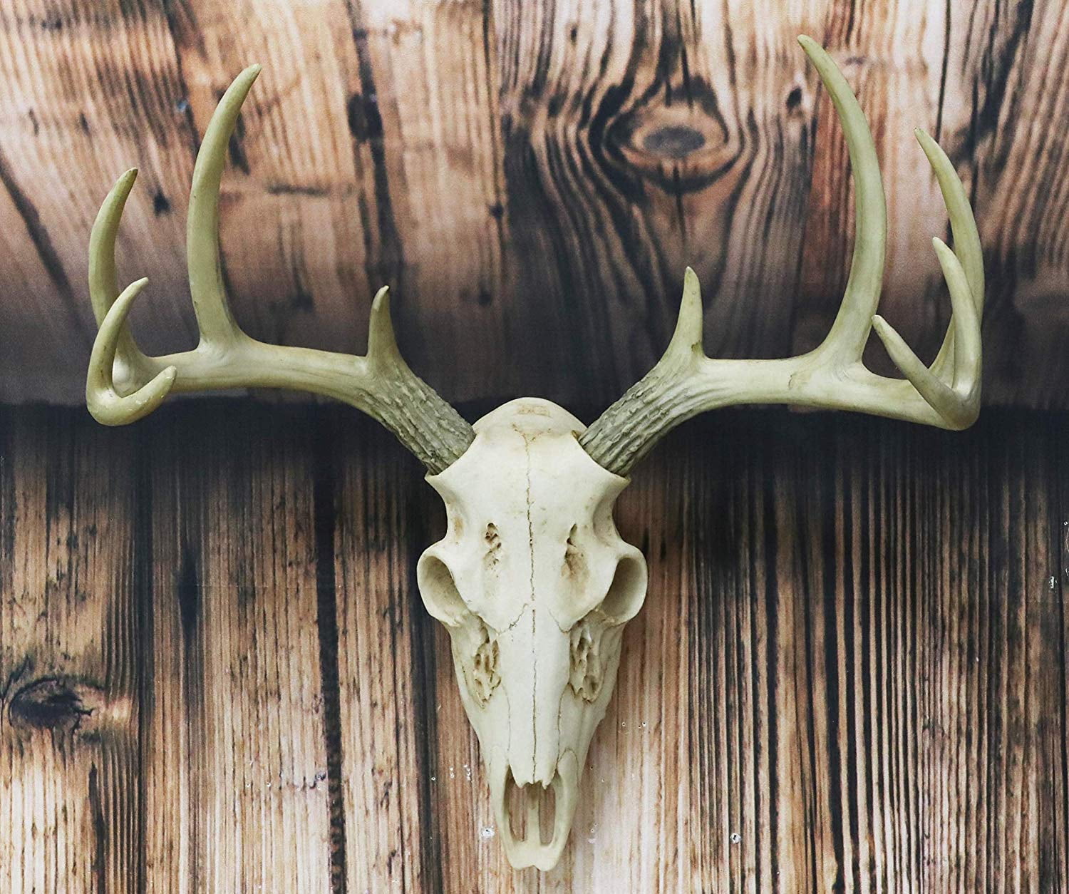 Ebros Gift Rustic Hunter Deer 10 Point Buck Skull Trophy Antlers Wall