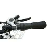Folding Electric tricycle