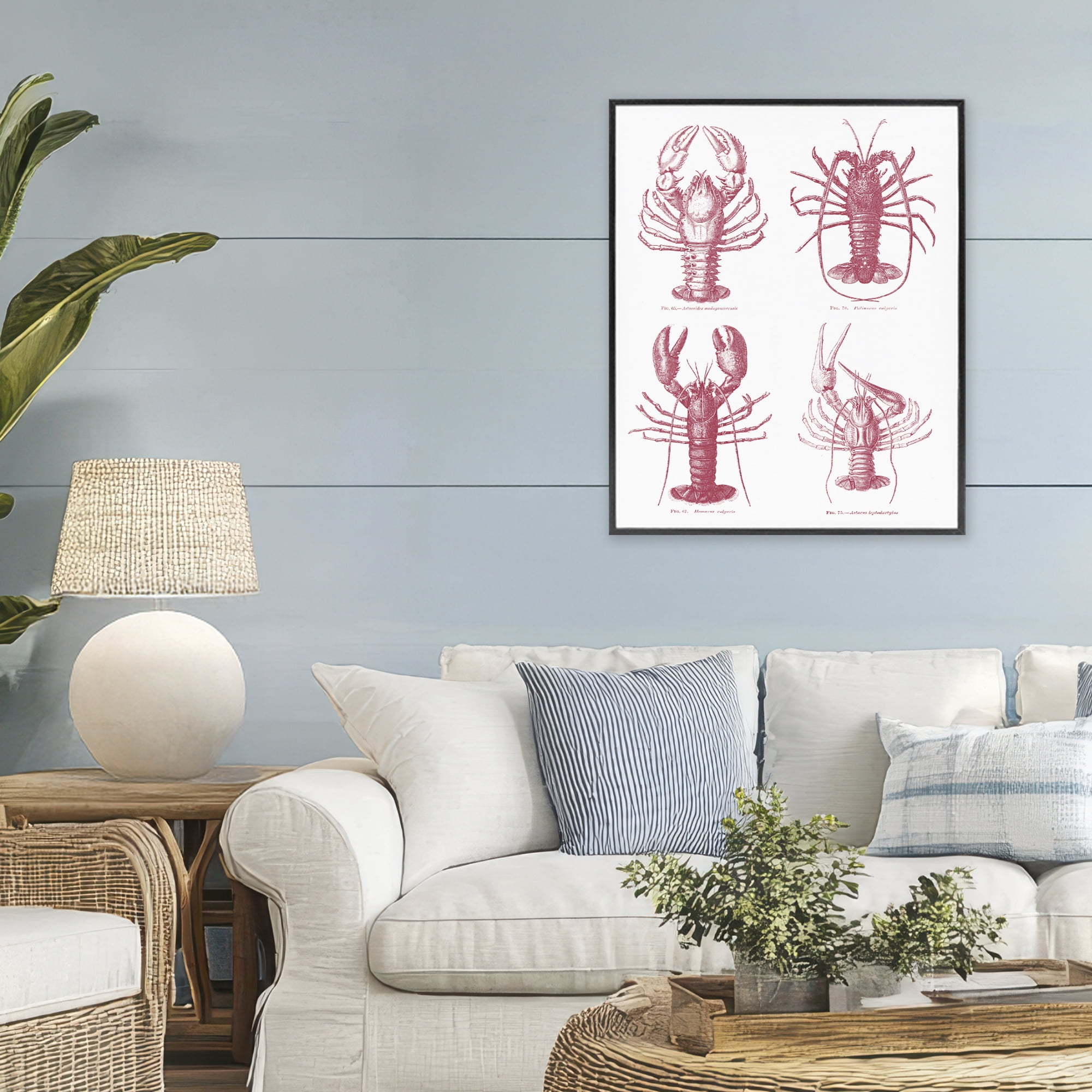 Timeless Lobsters Species Black Framed Giclee Art, design by Lettered and Lined